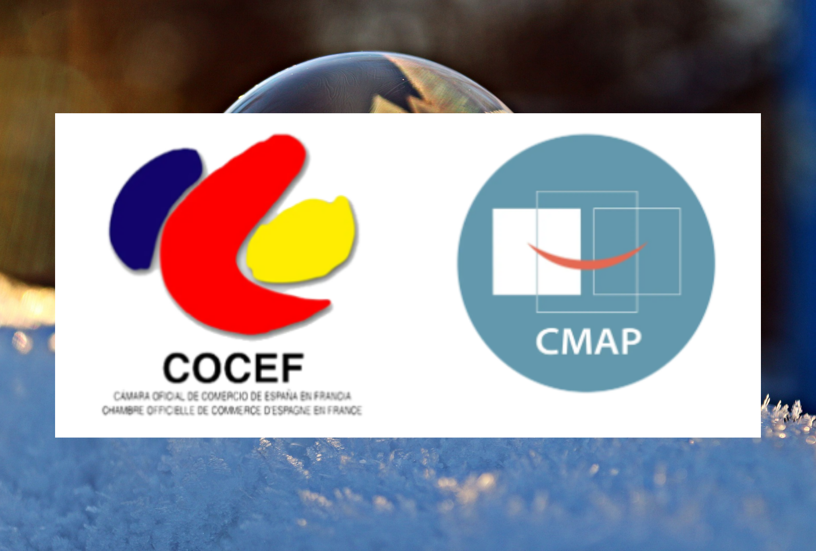 vignettes article (5)